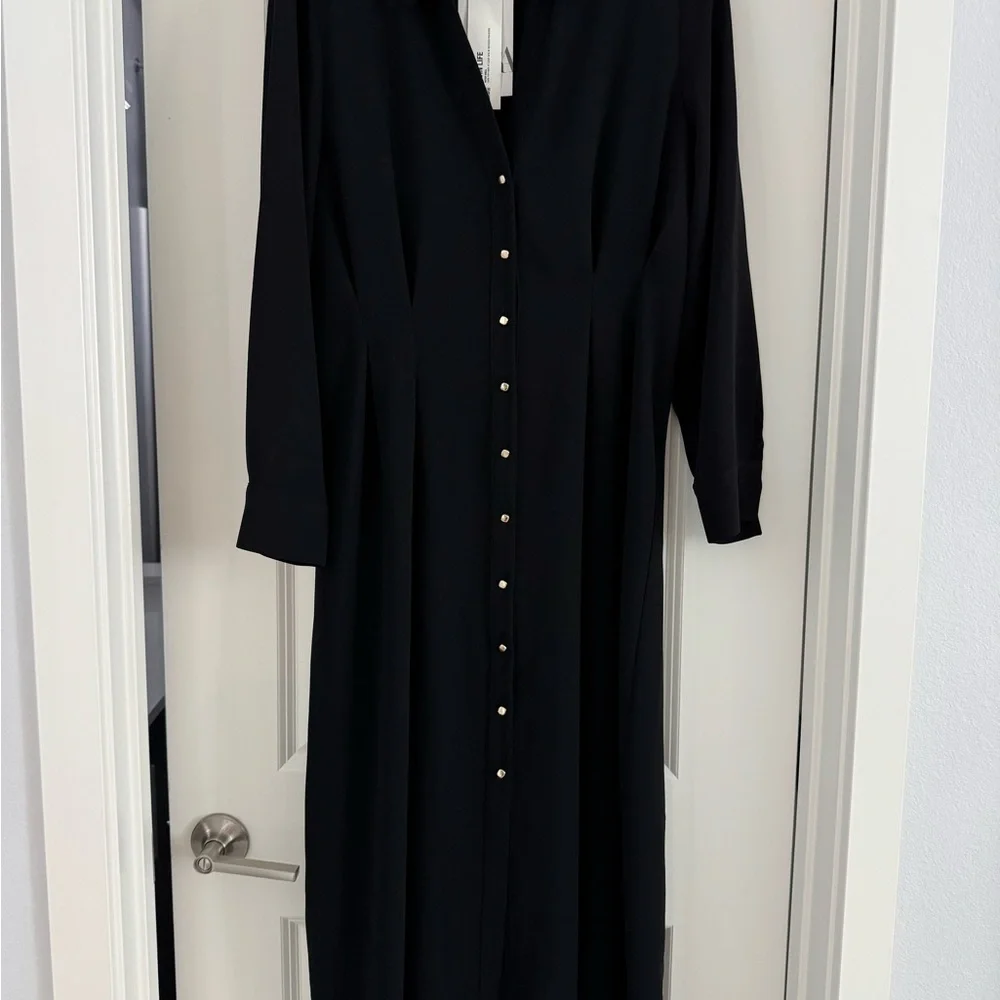 Zara Black Pleated Button-Down Dress - Picture 5 of 8